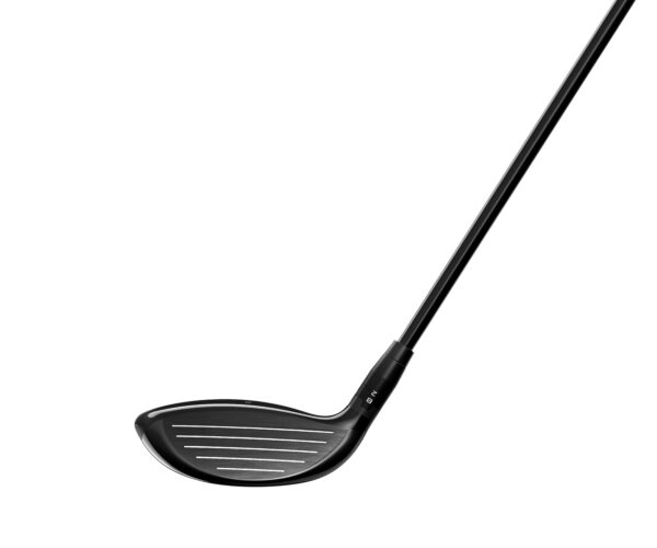 TSR2 FAIRWAY - Image 2