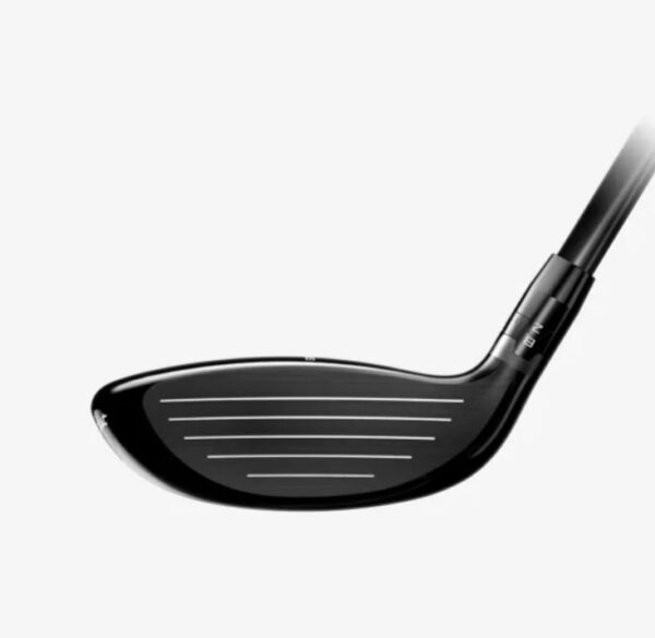 GT2 Fairway - Image 3