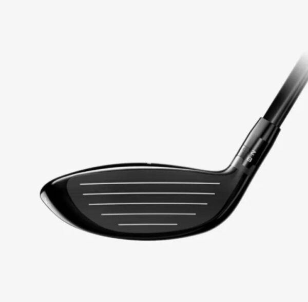 GT3 Fairway - Image 4