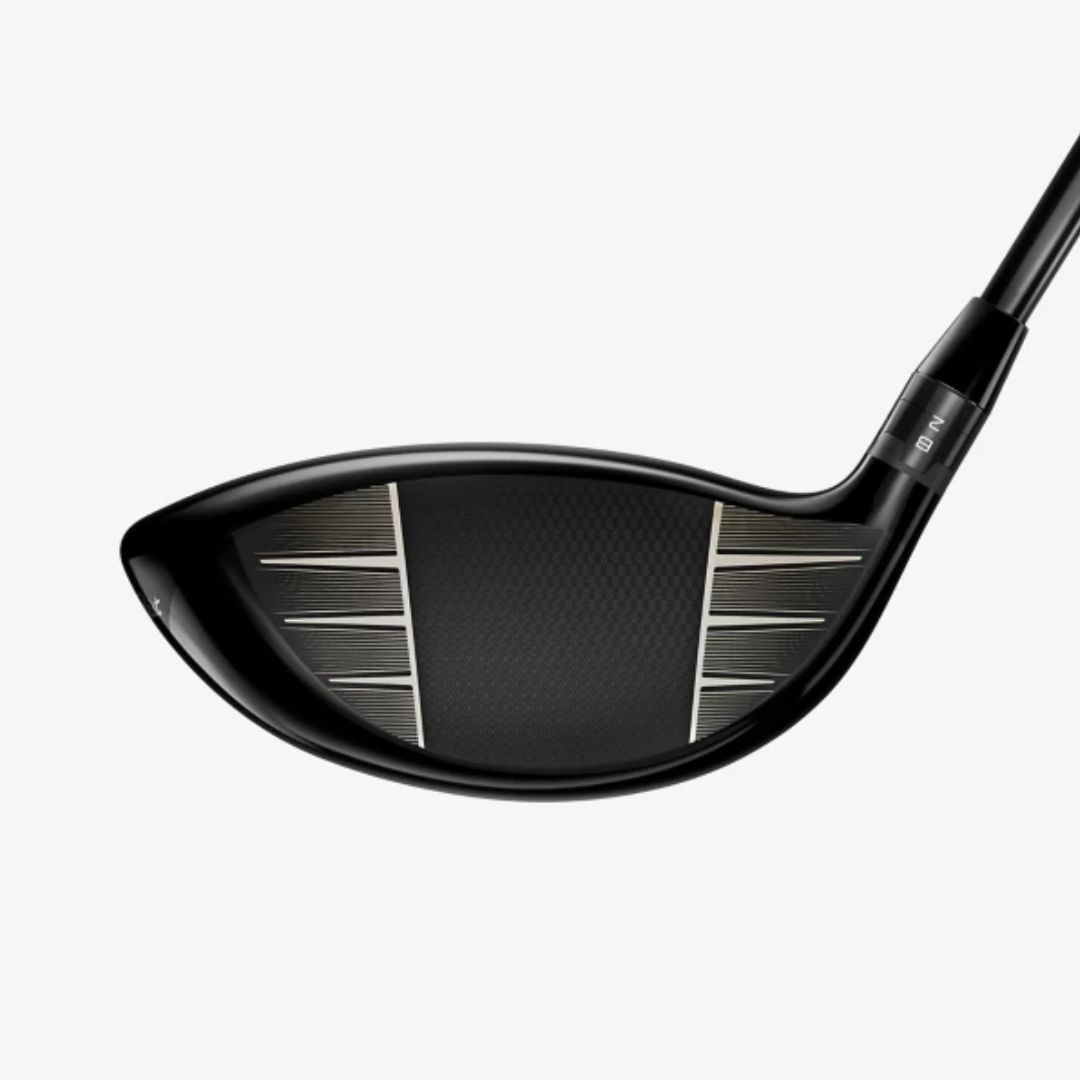 GT1 Driver - Image 3